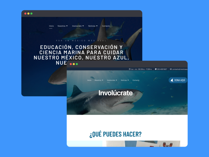 NGO Crowdfunding & Website
